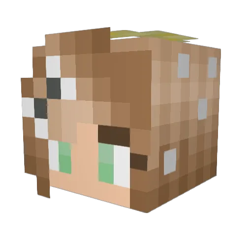 Destiny_Snipezzz Minecraft avatar head, 3D render