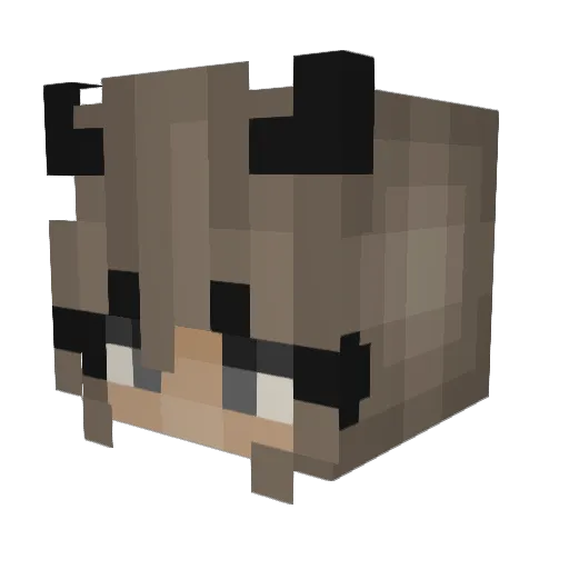 Destinyfayah Minecraft avatar head, 3D render