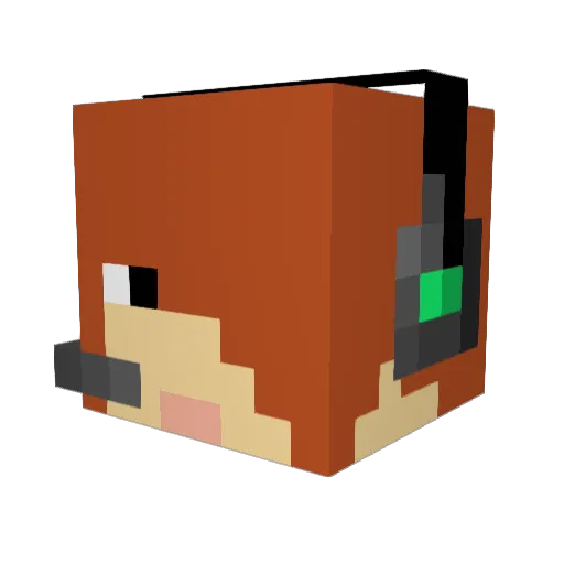 Destinylover42 Minecraft avatar head, 3D render