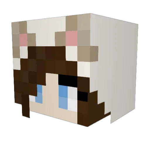 Destinyraye Minecraft avatar head, 3D render