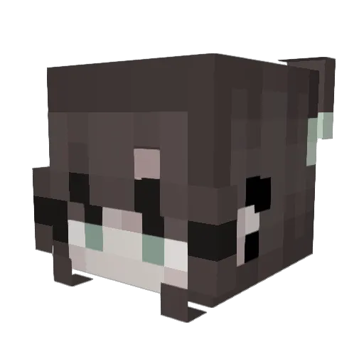 Destinyymoon Minecraft avatar head, 3D render