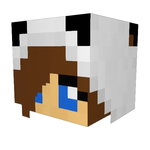 Destory_X Minecraft avatar head, 3D render