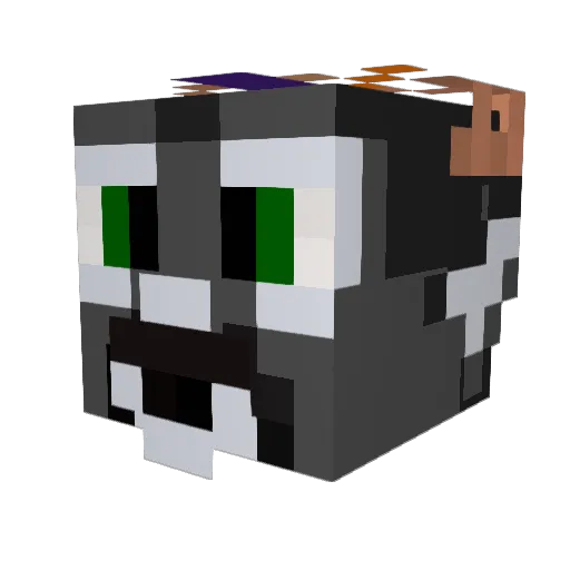 Destovah Minecraft avatar head, 3D render