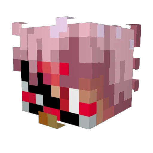 Destro213 Minecraft avatar head, 3D render