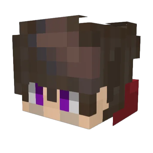 DestroyZ5521 Minecraft avatar head, 3D render