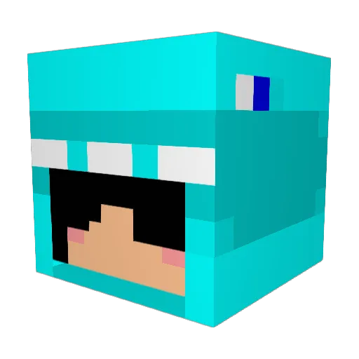 Destroy_Freeze Minecraft avatar head, 3D render