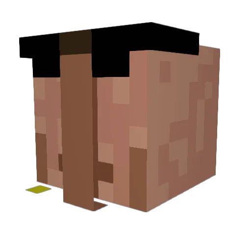 Destroyedbyyou Minecraft avatar head, 3D render