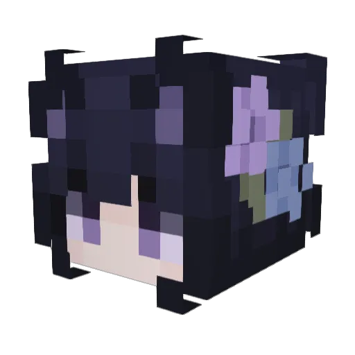 Destroyer0514 Minecraft avatar head, 3D render