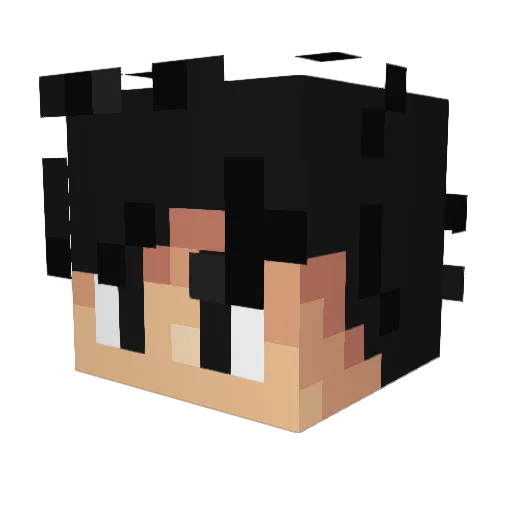 Destroyer145_ Minecraft avatar head, 3D render