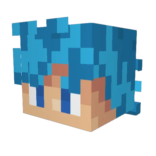 Destroyer145__ Minecraft avatar head, 3D render