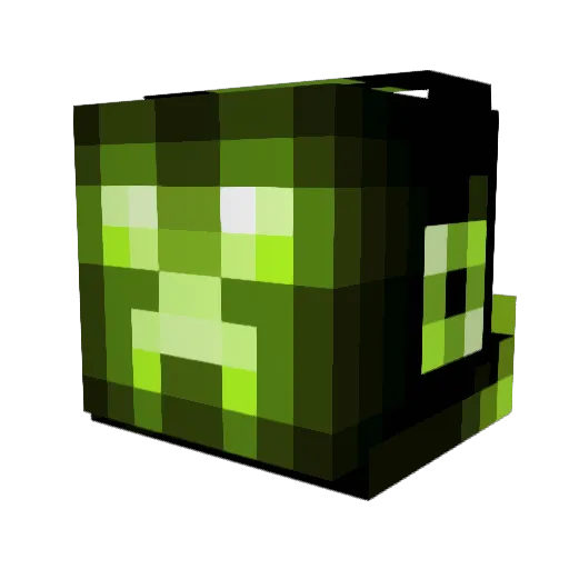 Destroyer2902 Minecraft avatar head, 3D render