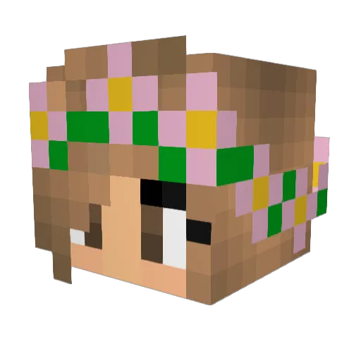 DestroyerNate204 Minecraft avatar head, 3D render