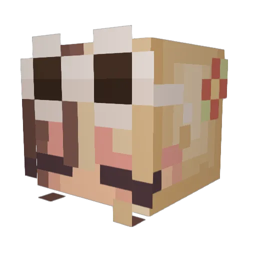 DestroyerOreo01 Minecraft avatar head, 3D render