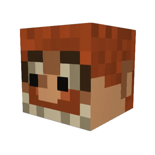 DestroyerTeamDud Minecraft avatar head, 3D render