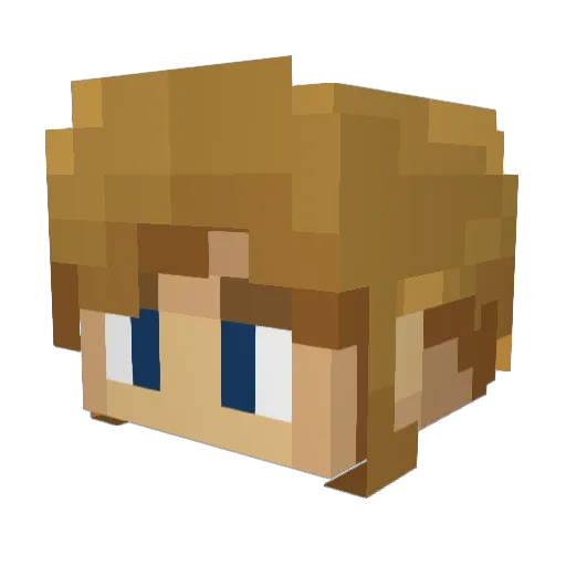 DestroyerWill Minecraft avatar head, 3D render