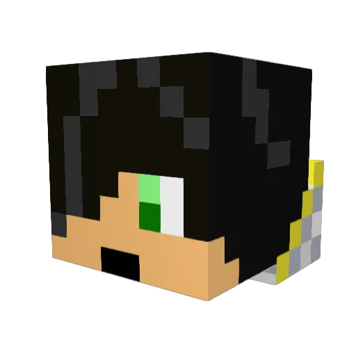 Destroyer_Tanner Minecraft avatar head, 3D render