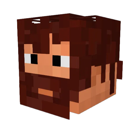Destroyer_gamer9 Minecraft avatar head, 3D render