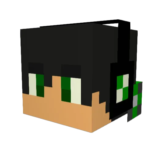 Destroyerofjuice Minecraft avatar head, 3D render