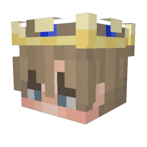 Destroyers007 Minecraft avatar head, 3D render