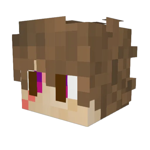Destroyersdb6 Minecraft avatar head, 3D render