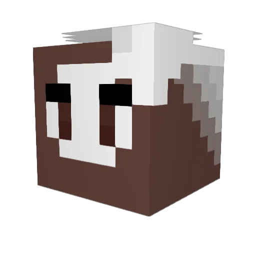 DestroyingSlayer Minecraft avatar head, 3D render