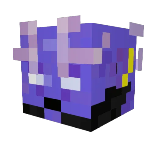 Destrucmonn Minecraft avatar head, 3D render