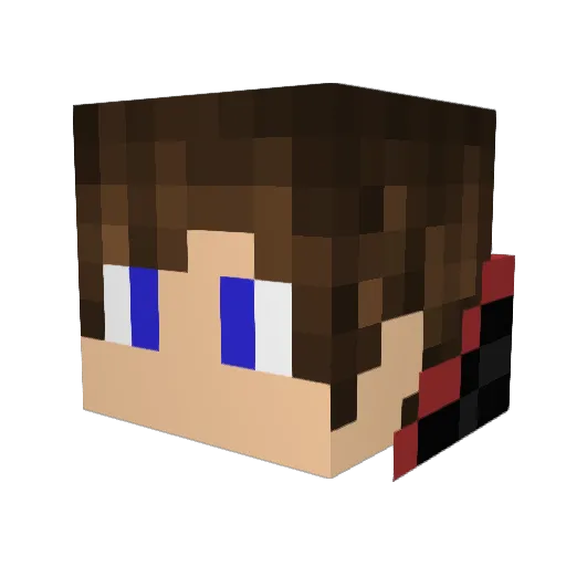 Destruction303 Minecraft avatar head, 3D render