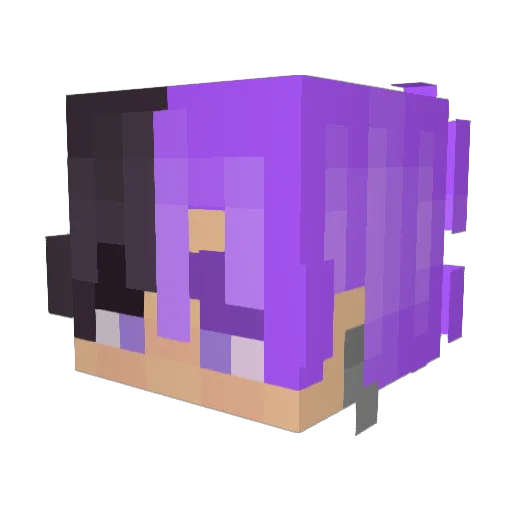 DestructiveDishw Minecraft avatar head, 3D render