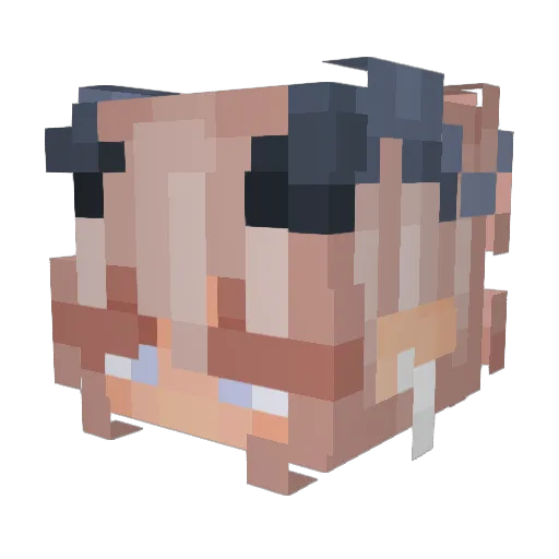 DestructiveDrago Minecraft avatar head, 3D render
