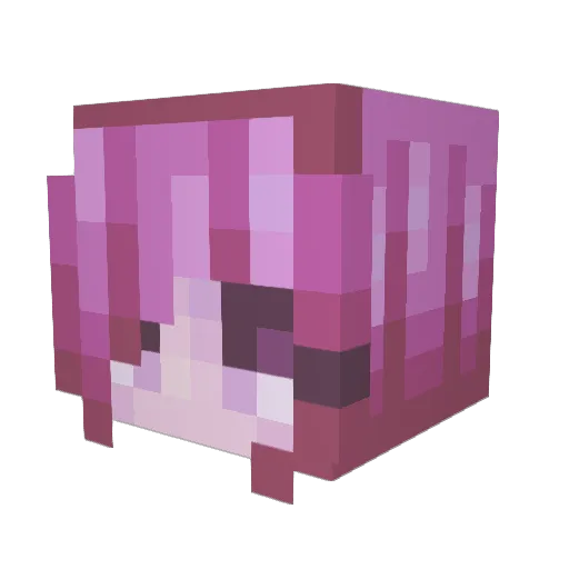 DestructivePich Minecraft avatar head, 3D render