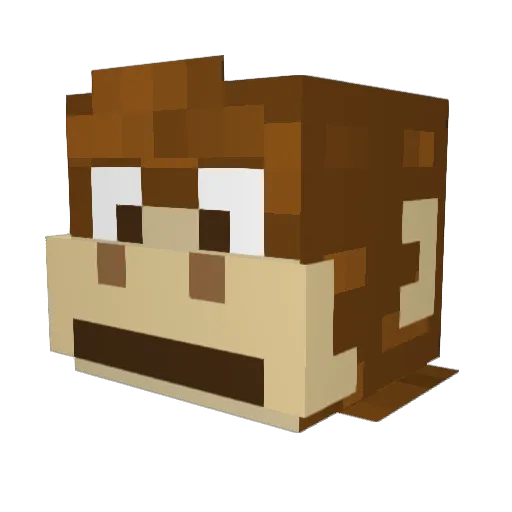 Destructmonkey Minecraft avatar head, 3D render