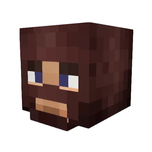 Destructoflare Minecraft avatar head, 3D render