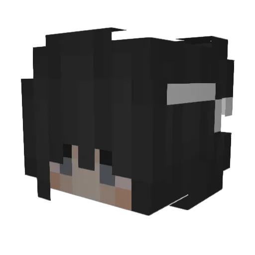 Destructora11 Minecraft avatar head, 3D render