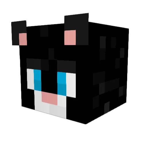 Destructox Minecraft avatar head, 3D render