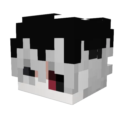 Desty09 Minecraft avatar head, 3D render
