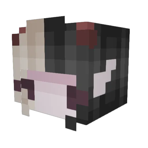 Desusama333 Minecraft avatar head, 3D render