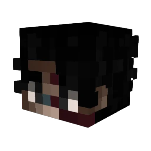 Detailleur Minecraft avatar head, 3D render