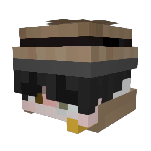 DetectiveBibbers Minecraft avatar head, 3D render