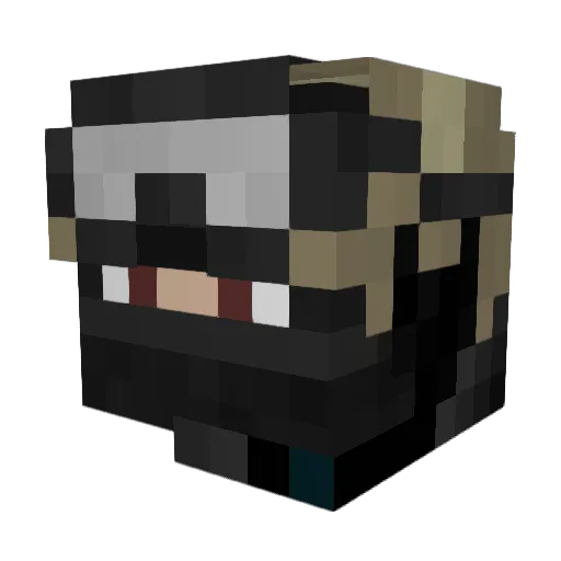 DetectiveDavid Minecraft avatar head, 3D render