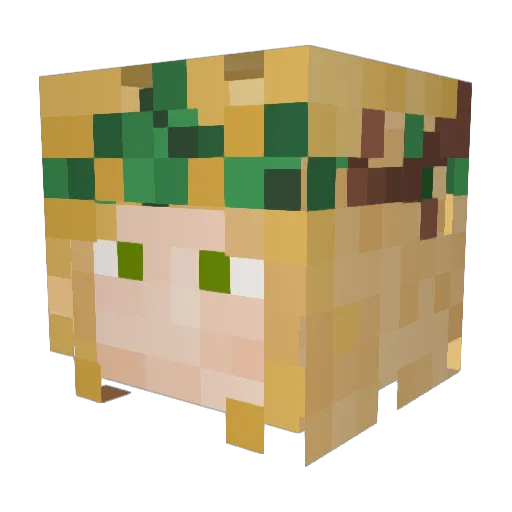 Detective_Nibs Minecraft avatar head, 3D render