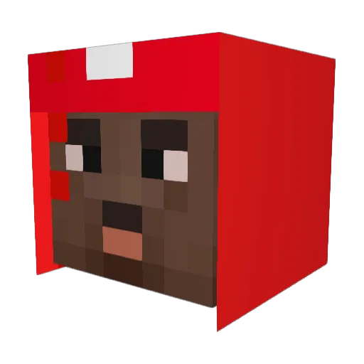 Detekenmeester1 Minecraft avatar head, 3D render