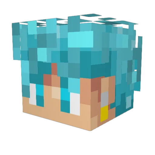 Deterco Minecraft avatar head, 3D render
