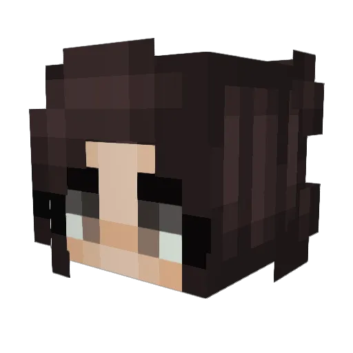 Determinatif Minecraft avatar head, 3D render