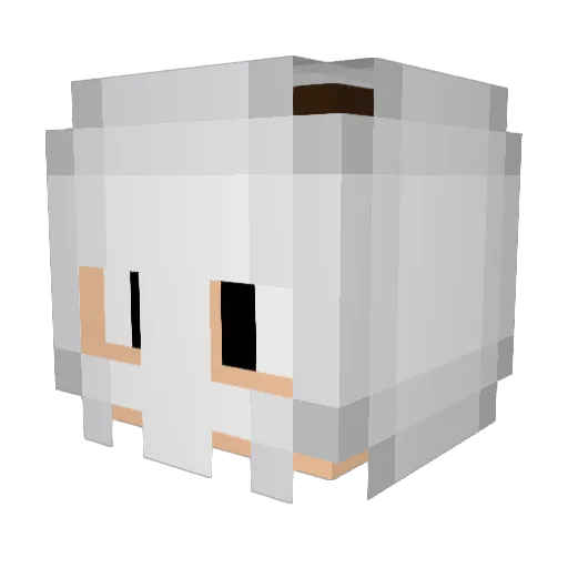 DeterminedFish Minecraft avatar head, 3D render