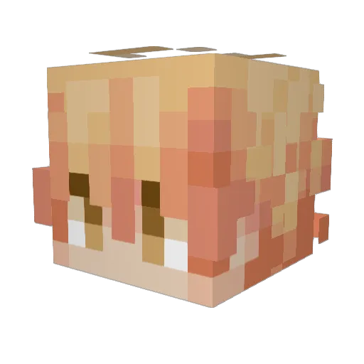 DetetivePerry Minecraft avatar head, 3D render