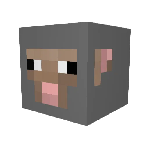 Detigers19 Minecraft avatar head, 3D render