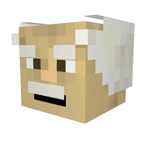 DetlefDerBauer Minecraft avatar head, 3D render