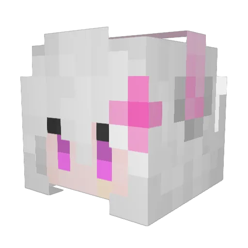 Detristy Minecraft avatar head, 3D render