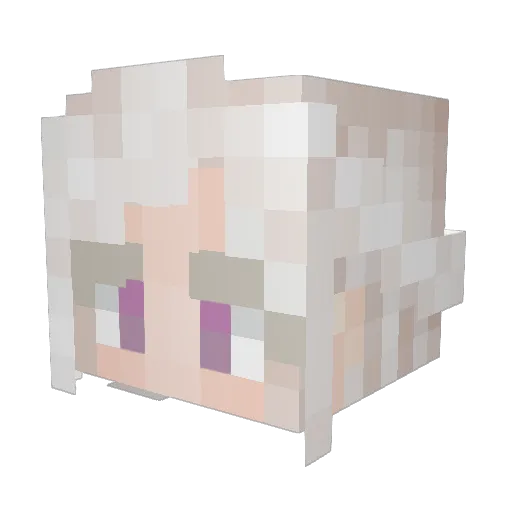 Detroit2038 Minecraft avatar head, 3D render