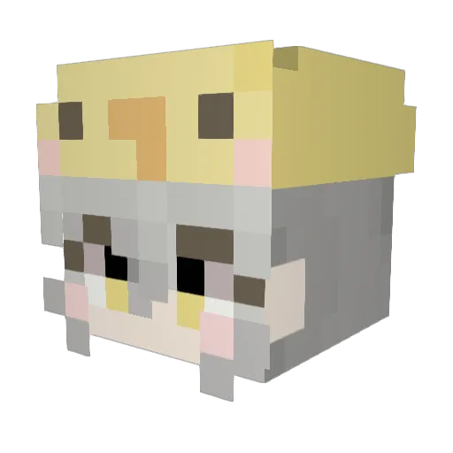 Deulrae Minecraft avatar head, 3D render
